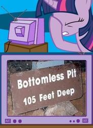 Size: 365x500 | Tagged: safe, derpibooru import, twilight sparkle, bottomless pit, exploitable meme, facehoof, fail, hole, meme, seems legit, sign, tv meme