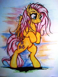 Size: 1536x2048 | Tagged: safe, artist:tomek2289, fluttershy, pegasus, pony, bipedal, crying, traditional art