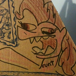 Size: 612x612 | Tagged: safe, pinkie pie, earth pony, pony, cardboard, cunt, photo, solo, vulgar