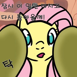 Size: 1280x1280 | Tagged: safe, fluttershy, pegasus, pony, askfluttershy-kor, female, korean, mare, pink mane, yellow coat