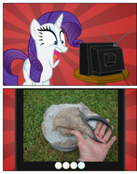 Size: 1028x1299 | Tagged: safe, rarity, crab, human, claw, exploitable meme, fossil, hand, irl, irl human, meme, obligatory pony, photo, rarity fighting a giant crab, tv meme