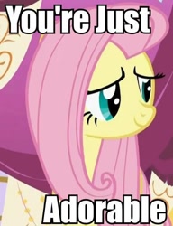 Size: 400x520 | Tagged: safe, fluttershy, pegasus, pony, female, image macro, mare, pink mane, reaction image, yellow coat