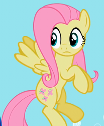 Size: 480x580 | Tagged: safe, screencap, fluttershy, pegasus, pony, female, mare, pink mane, solo, yellow coat