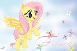 Size: 2500x1667 | Tagged: safe, artist:jahirceja-90, artist:mysticalpha, artist:ponychaos13, fluttershy, butterfly, pegasus, pony, solo, wallpaper