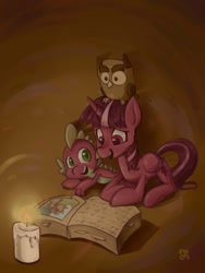 Size: 768x1024 | Tagged: safe, artist:chung-sae, derpibooru import, owlowiscious, spike, twilight sparkle, twilight sparkle (alicorn), alicorn, dragon, pony, book, candle, female, mare, reading