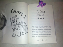 Size: 1200x900 | Tagged: safe, derpibooru import, twilight sparkle, my little pony chapter books, twilight sparkle and the crystal heart spell, spoiler:book, blind bag, irl, photo, toy