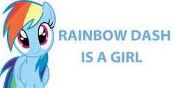 Size: 2292x1164 | Tagged: safe, derpibooru import, rainbow dash, pegasus, pony, captain obvious, cute, fact, female, mare, no shit sherlock, simple background, smiling, solo, standing, white background