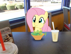 Size: 2048x1536 | Tagged: safe, artist:tokkazutara1164, fluttershy, pegasus, pony, burger king, eating, food, lunch, ponies in real life, restaurant, solo, vector