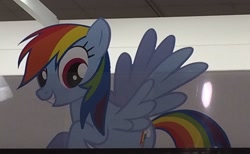 Size: 2330x1437 | Tagged: safe, derpibooru import, rainbow dash, irl, photo, solo, stock vector, target (store)