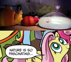 Size: 1192x1034 | Tagged: safe, idw, fluttershy, pegasus, pony, blue coat, blue eyes, dialogue, exploitable meme, female, goldfish, larva, looking up, mare, meme, multicolored tail, nature is so fascinating, pink coat, pink mane, smiling, speech bubble, the human centipede, wings, yellow coat