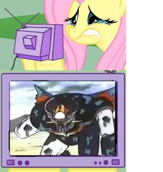 Size: 728x771 | Tagged: safe, fluttershy, pegasus, pony, exploitable meme, fluttercry, mazinger, mazinger z, tv meme