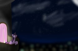 Size: 1200x786 | Tagged: safe, artist:jinyaranda, derpibooru import, twilight sparkle, night, stars