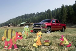 Size: 1440x960 | Tagged: safe, artist:dontae98, apple bloom, applejack, big macintosh, granny smith, earth pony, pony, apple, barrel, basket, chevrolet, farm, field, irl, male, photo, ponies in real life, stallion, truck, vector