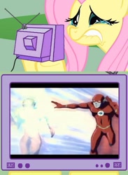 Size: 563x771 | Tagged: safe, fluttershy, pegasus, pony, exploitable meme, kid flash, tv meme, young justice