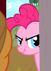 Size: 390x541 | Tagged: safe, screencap, applejack, pinkie pie, earth pony, pony, party of one, scrunchy face