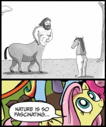 Size: 391x466 | Tagged: safe, idw, fluttershy, centaur, pegasus, pony, reverse centaur, blue coat, blue eyes, dialogue, exploitable meme, female, looking up, mare, meme, multicolored tail, nature is so fascinating, pink coat, pink mane, smiling, speech bubble, the new yorker, wings, yellow coat