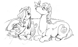 Size: 1400x840 | Tagged: safe, artist:aspendragon, big macintosh, fluttershy, butterfly, earth pony, pegasus, pony, fluttermac, male, monochrome, shipping, stallion, straight