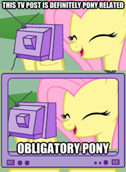 Size: 438x600 | Tagged: safe, fluttershy, pegasus, pony, exploitable meme, image macro, obligatory pony, recursion, tv meme