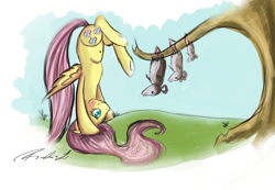 Size: 1024x707 | Tagged: safe, artist:radioactivelava, fluttershy, opossum, pegasus, pony, animal, belly button, handstand, tree, upside down