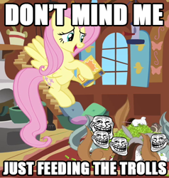 Size: 476x500 | Tagged: safe, fluttershy, pegasus, pony, squirrel, troll, image macro, reaction image, trollface, you fool