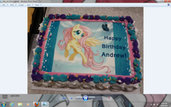 Size: 1024x640 | Tagged: safe, fluttershy, pegasus, pony, cake, female, mare, pink mane, yellow coat