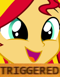 Size: 4635x6000 | Tagged: safe, sunset shimmer, equestria girls, 4chan, absurd resolution, funny, meme, solo, triggered