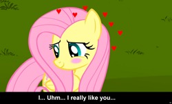 Size: 1600x973 | Tagged: safe, fluttershy, pegasus, pony, blushing, bronybait, caption, cs captions, female, love, mare, solo