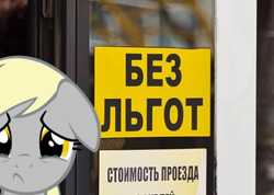 Size: 469x334 | Tagged: safe, derpy hooves, pegasus, pony, female, irl, mare, photo, ponies in real life, russian, sign, solo