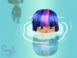 Size: 1024x768 | Tagged: safe, artist:saturnstar14, derpibooru import, twilight sparkle, zecora, humanized, reflection, water