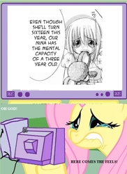 Size: 540x742 | Tagged: safe, fluttershy, pegasus, pony, artificial maiden, computer, exploitable meme, nina, tv meme