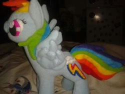 Size: 320x240 | Tagged: safe, artist:nightelfy, derpibooru import, rainbow dash, irl, photo, plushie, solo