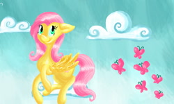 Size: 800x480 | Tagged: safe, artist:essely, fluttershy, butterfly, pegasus, pony, cloud, cloudy, solo