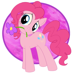 Size: 600x603 | Tagged: safe, artist:kicsterash, pinkie pie, earth pony, pony, cute, diapinkes, female, flower, flower in mouth, head tilt, love, mare, mouth hold, simple background, smiling, solo, transparent background