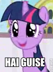 Size: 205x276 | Tagged: safe, derpibooru import, twilight sparkle, caption, faic, image macro, lol, needs more jpeg, roflbot, smiling, text