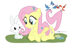 Size: 1050x665 | Tagged: safe, artist:dm29, angel bunny, fluttershy, bird, pegasus, pony, duo, simple background, transparent background