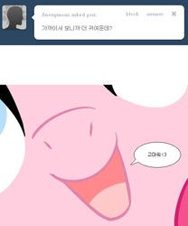 Size: 500x600 | Tagged: safe, pinkie pie, earth pony, pony, ask, close-up, korean, pinkiepie-kor, solo, tumblr