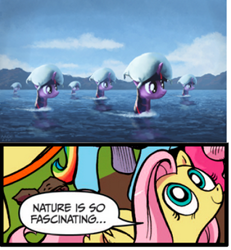 Size: 318x344 | Tagged: safe, artist:moe, derpibooru import, edit, fluttershy, twilight sparkle, pegasus, pony, spoiler:comic, blue coat, blue eyes, dialogue, exploitable meme, female, looking up, mare, meme, multicolored tail, nature is so fascinating, ocean, pillow, pillow monsters, pink coat, pink mane, smiling, speech bubble, surreal, wat, water, wings, yellow coat