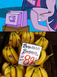 Size: 563x771 | Tagged: safe, derpibooru import, twilight sparkle, banana, exploitable meme, facehoof, fail, meme, tv meme