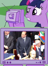 Size: 438x600 | Tagged: safe, derpibooru import, twilight sparkle, exploitable meme, silvio berlusconi, tv meme