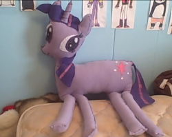 Size: 850x678 | Tagged: safe, artist:plushbuddies, derpibooru import, twilight sparkle, dwight spergle, irl, photo, plushie, twologht sporkle