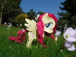 Size: 1024x768 | Tagged: safe, fluttershy, flower, irl, photo, piñata