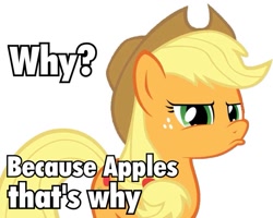 Size: 943x753 | Tagged: safe, applejack, earth pony, pony, blonde mane, female, image macro, mare, orange coat, solo, why