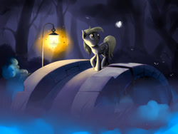 Size: 800x600 | Tagged: safe, artist:doomy, derpy hooves, pegasus, pony, bridge, female, forest, lantern, mare, solo