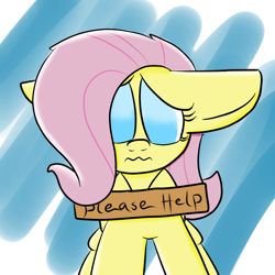 Size: 800x800 | Tagged: safe, artist:sailormod, fluttershy, pegasus, pony, female, mare, sign, solo