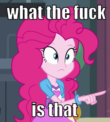 Size: 543x600 | Tagged: safe, edit, edited screencap, screencap, pinkie pie, equestria girls, equestria girls (movie), cropped, image macro, pointing, reaction image, solo, vulgar