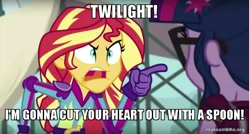 Size: 800x429 | Tagged: safe, edit, edited screencap, screencap, sci-twi, sunset shimmer, twilight sparkle, equestria girls, friendship games, caption, image macro, meme, robin hood, sunset yells at twilight