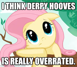 Size: 625x541 | Tagged: safe, artist:ellybethe, fluttershy, pegasus, pony, image macro, pony confession, solo