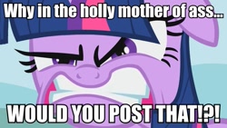 Size: 785x443 | Tagged: safe, derpibooru import, twilight sparkle, image macro, reaction image, vulgar