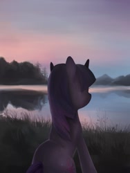 Size: 525x700 | Tagged: safe, artist:ilanta, derpibooru import, twilight sparkle, scenery, solo