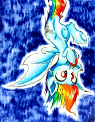 Size: 2120x2706 | Tagged: safe, artist:liaaqila, derpibooru import, rainbow dash, bat pony, pony, bat ponified, cute, dashabetes, female, mare, race swap, rainbowbat, smiling, solo, traditional art, upside down